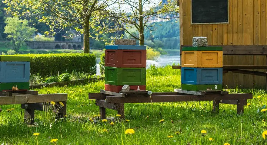 III. Sustainable Beekeeping Techniques and Methods